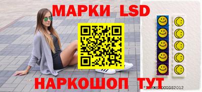 СК Кингисепп