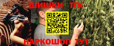 СК Кингисепп