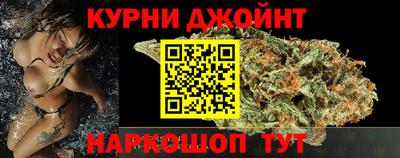 СК Кингисепп