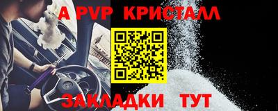 СК Кингисепп