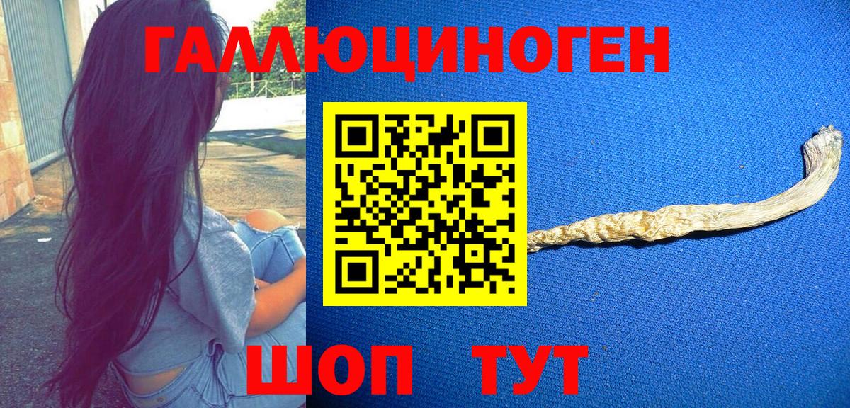 Галлюциногенные грибы Magic Shrooms Невинномысск